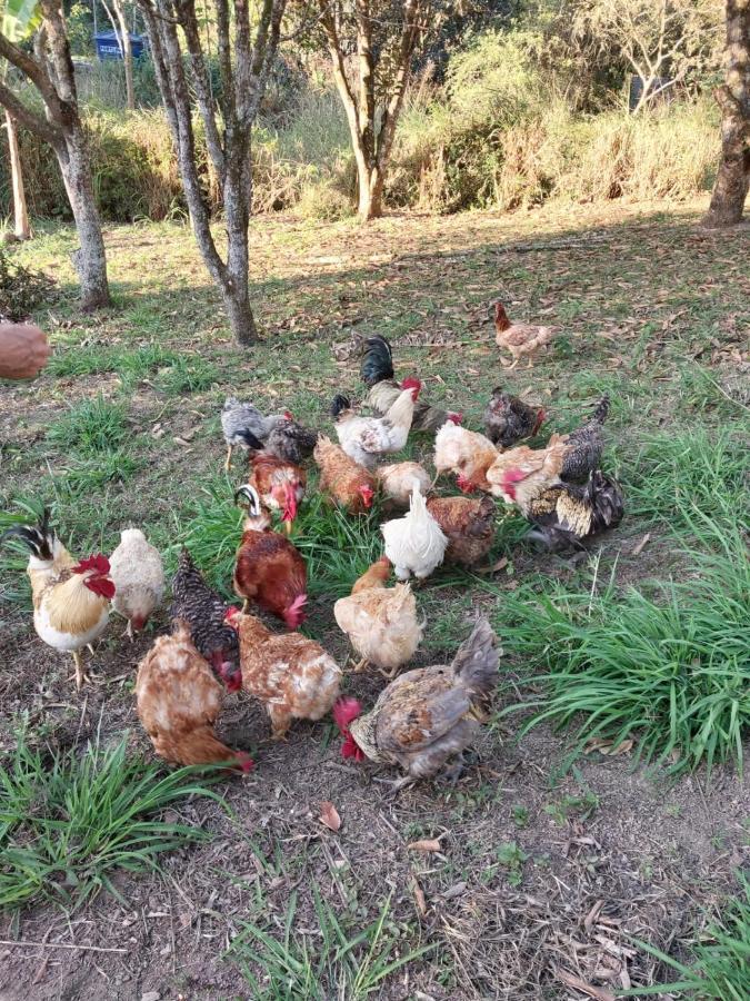 Cantinho Da Paz Miguel Pereira Dış mekan fotoğraf